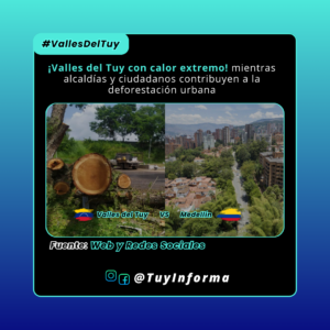 ¡Valles del Tuy con calor extremo! mientras alcaldías y ciudadanos contribuyen a la deforestación urbana