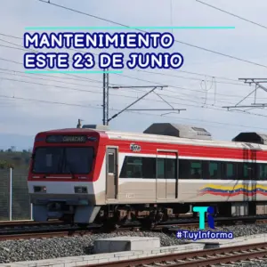 Este 23 de junio continúan trabajos de mantenimiento “Pico y Poda” en el IFE
